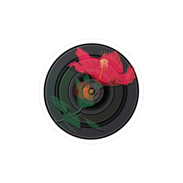 Life in Focus Vinyl Decal